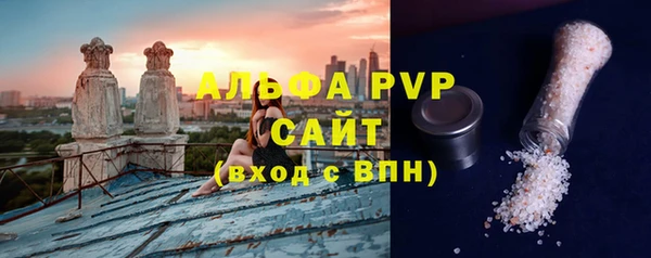 молекула духа Богданович