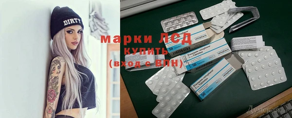 молекула духа Богданович