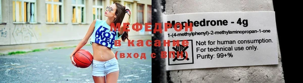 молекула духа Богданович