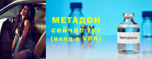 молекула духа Богданович
