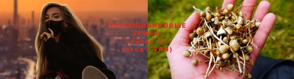 дистиллят марихуана Богородицк