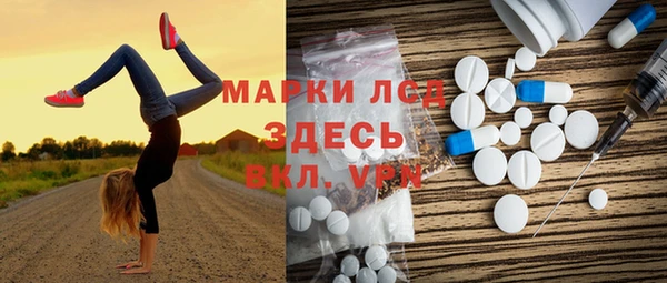 молекула духа Богданович