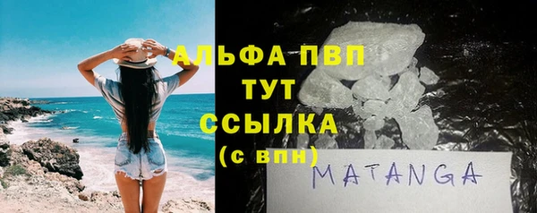 молекула духа Богданович