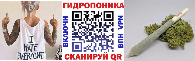 Конопля план Краснокаменск